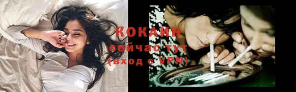 прущий лед Бородино