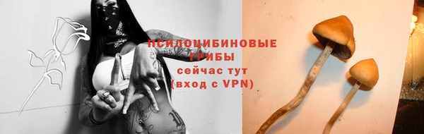 хмурый Верхний Тагил