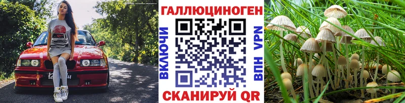 купить   OMG зеркало  Псилоцибиновые грибы MAGIC MUSHROOMS  Рубцовск 
